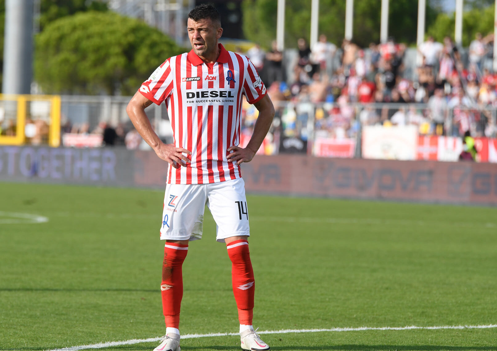 Mercato L.R. Vicenza: Marotta chiama Padella a Viterbo